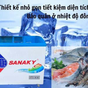 Tu Dong Sanaky Vh 3899k31