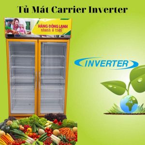 Tu Mat Carrier 2dgb Ivth Inverter 2 Canh