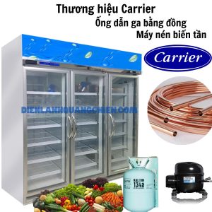 Tu Mat Carrier 3dgb Ivth Inverter Cong Nghe Hien Dai