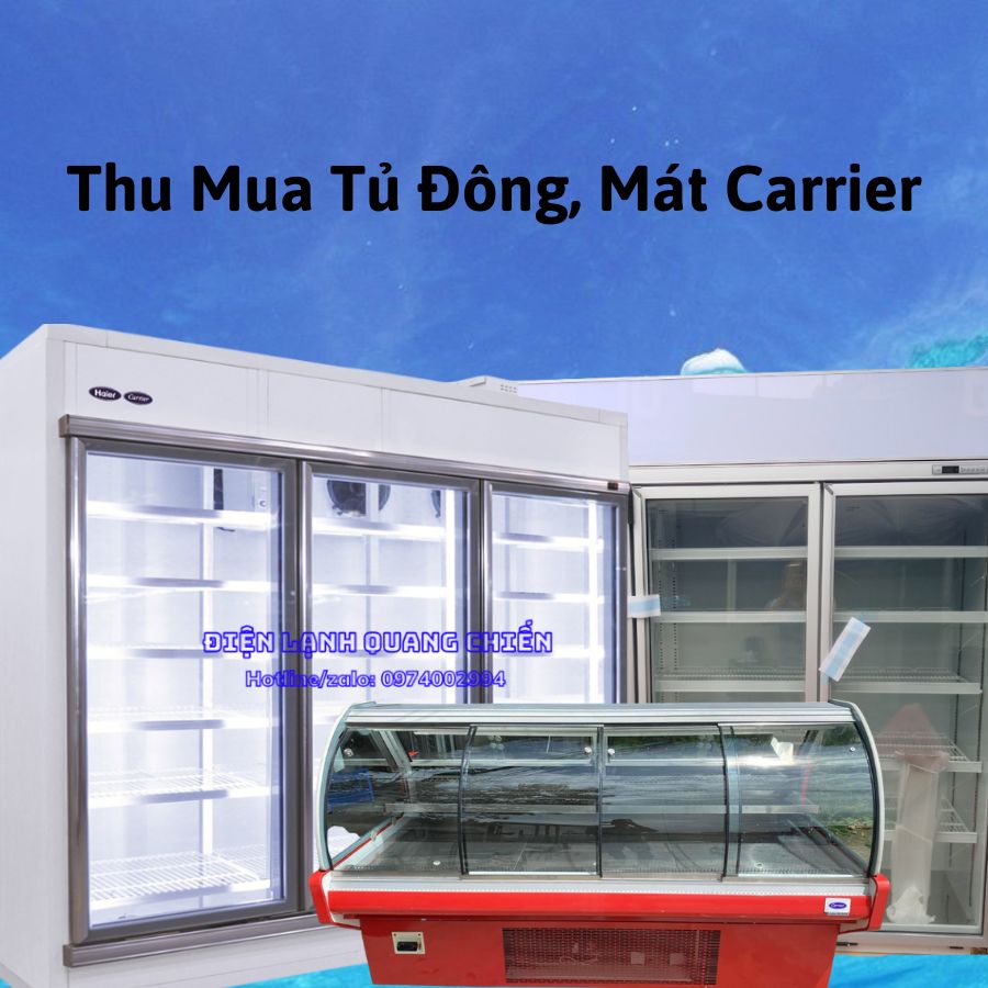 Thu Mua Tu Dong Mat Carrier Cu 1