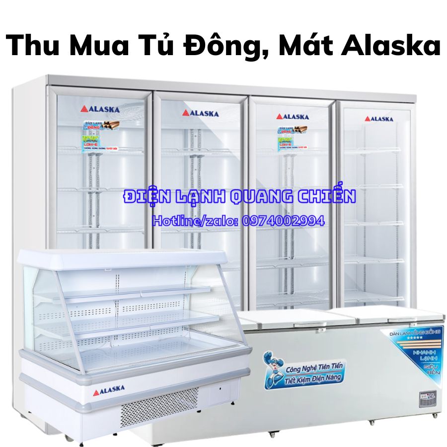 Thu Mua Tu Dong Tu Mat Alaska Cu 1