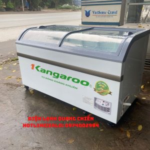 Tu Dong Kangaroo Kg 608a1 Mat Kinh Cong 608 Lit 2