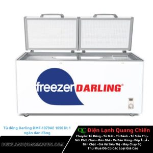 Tủ đông Darling Dmf 1079ae 1050 lít 1