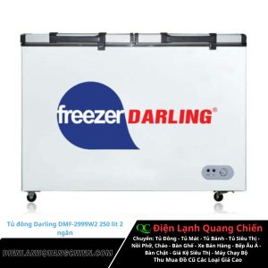 Tủ đông Darling Dmf 2999w2 250 lít