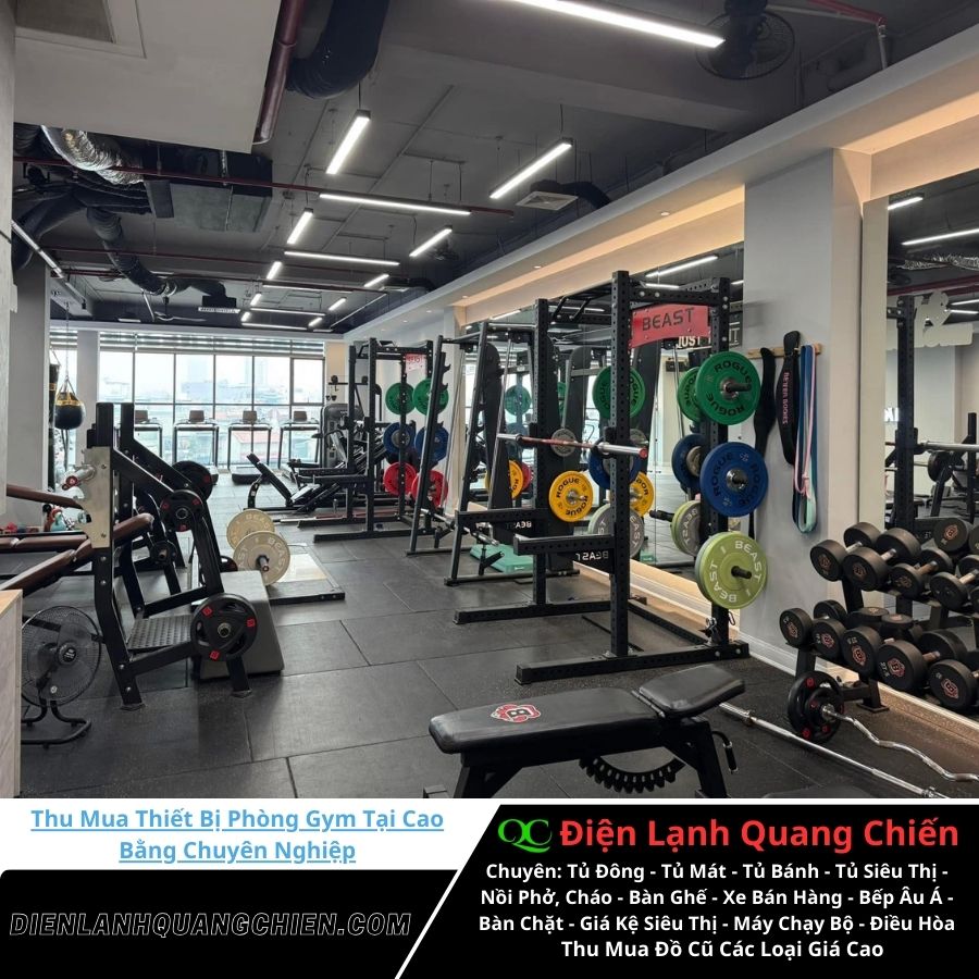 Thu Mua Thiết Bị Phòng Gym Tại Cao Bằng 2