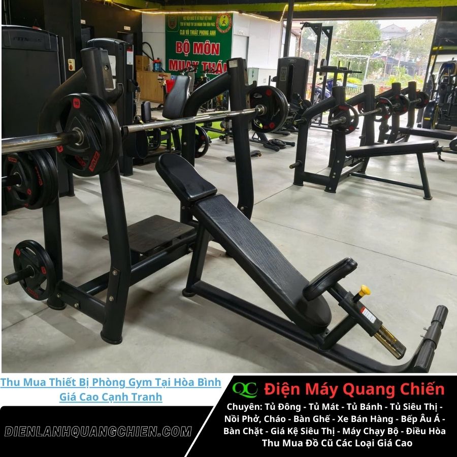 Thu Mua Thiết Bị Phòng Gym Tại Hòa Bình 2