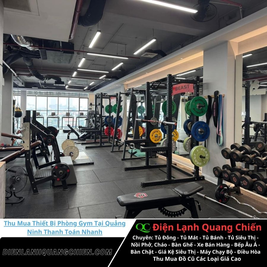 Thu Mua Thiết Bị Phòng Gym Tại Quảng Ninh 1