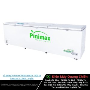 Tủ đông Pinimax PNM139AF3 1300 lít inverter 1