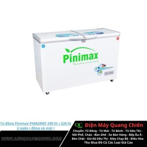 Tủ đông Pinimax PNM29WF 1