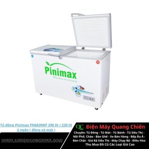 Tủ đông Pinimax PNM29WF 2