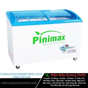 Tủ đông Pinimax PNM48KF 1