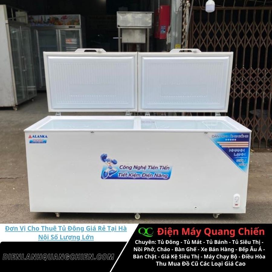 Đơn Vị Cho Thuê Tủ Đông Giá Rẻ 1