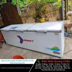 Đơn Vị Cho Thuê Tủ Đông Giá Rẻ