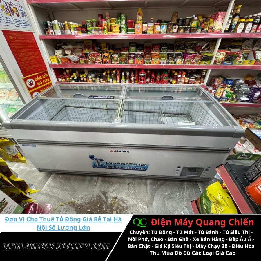 Đơn Vị Cho Thuê Tủ Đông Giá Rẻ 2