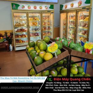 Thu Mua Tủ Mát Ruyeshing Tại Hà Nội
