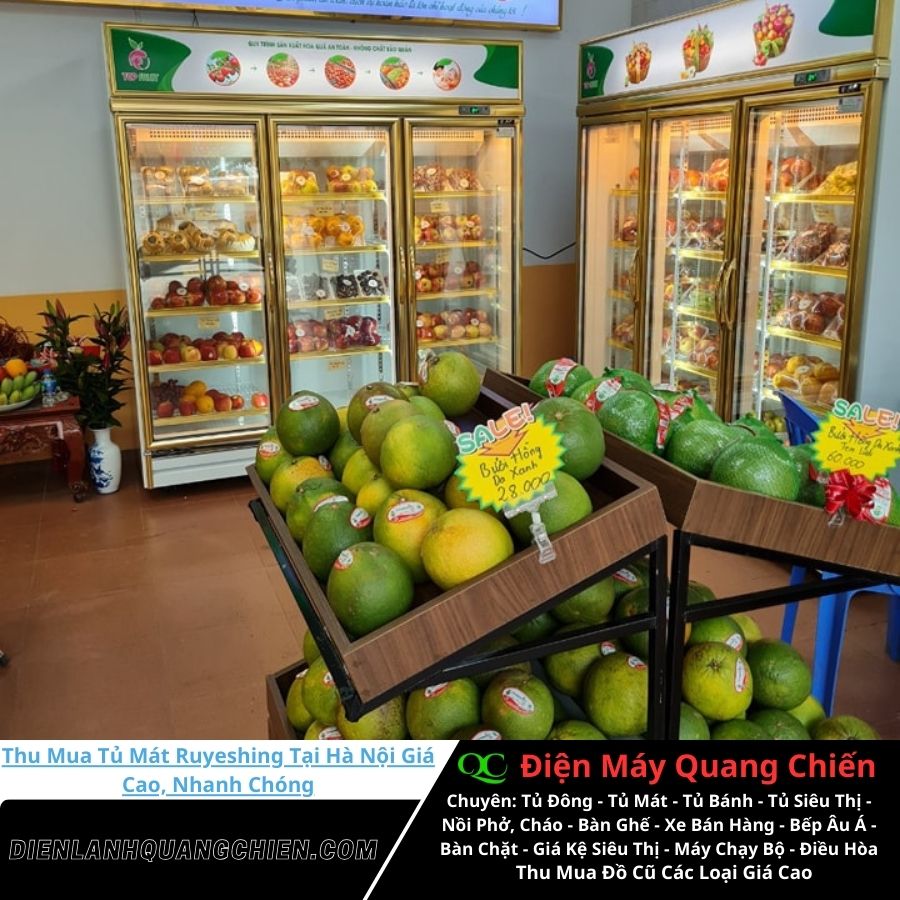 Thu Mua Tủ Mát Ruyeshing Tại Hà Nội