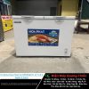 Tủ Đông Hòa Phát Cũ HPFBN6271