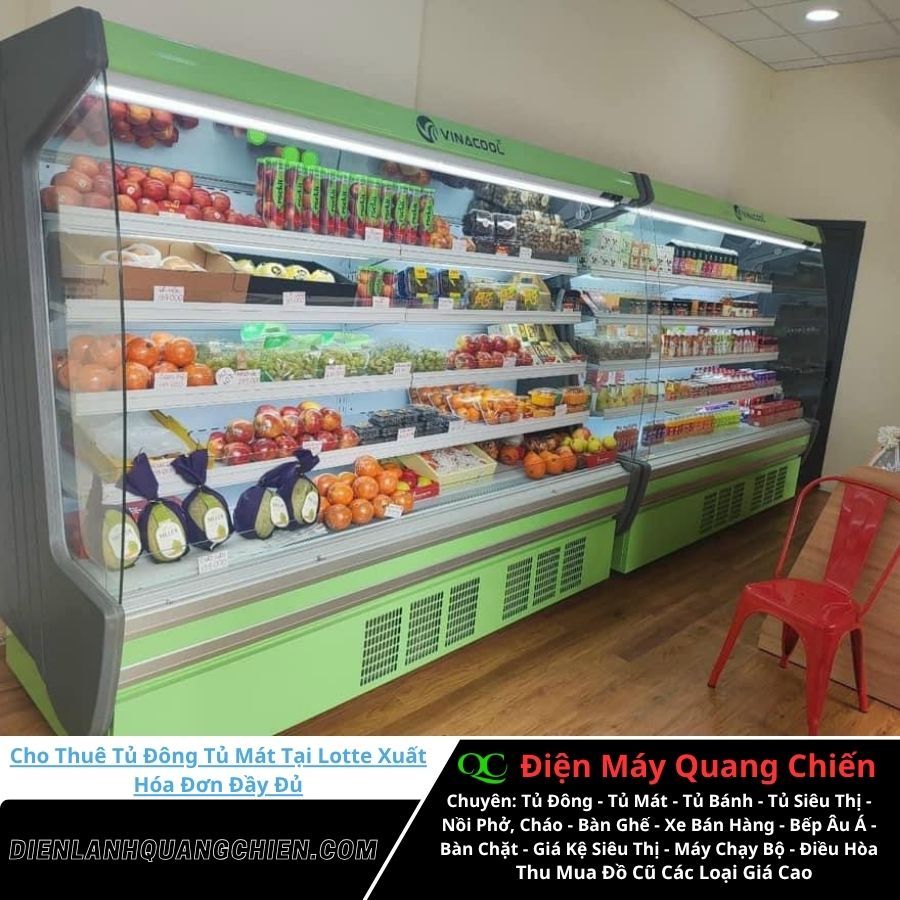 Cho Thuê Tủ Đông Tủ Mát Tại Lotte 2