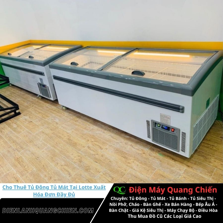 Cho Thuê Tủ Đông Tủ Mát Tại Lotte