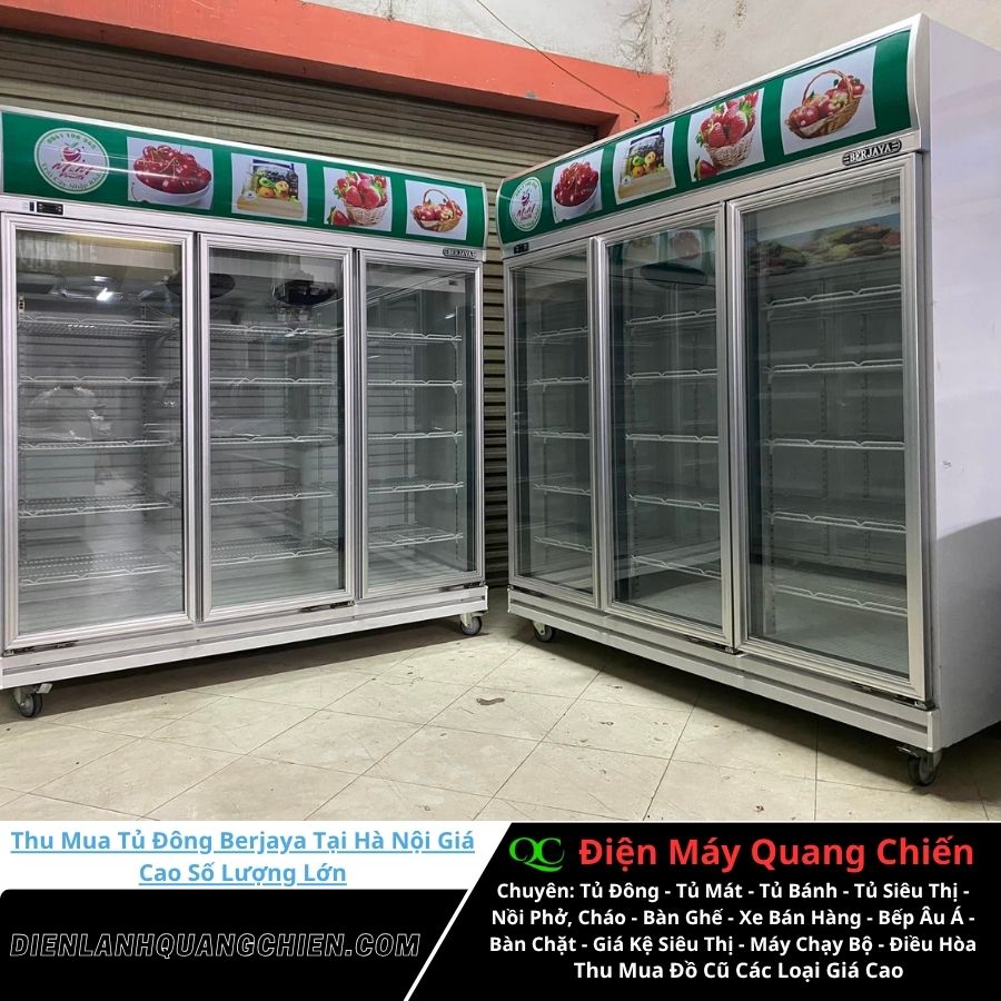 Thu Mua Tủ Đông Berjaya Tại Hà Nội 1
