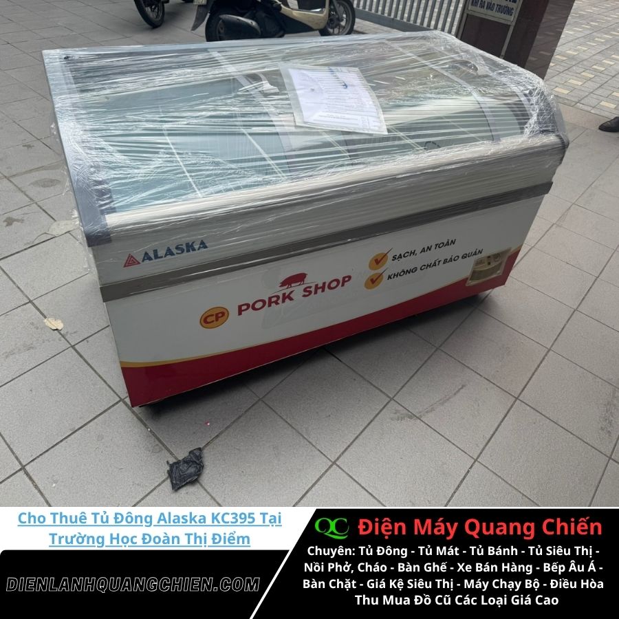 Cho Thuê Tủ Đông Alaska KC395 1