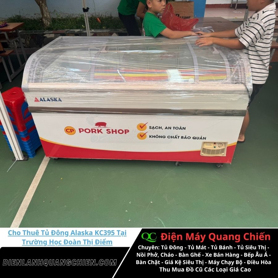 Cho Thuê Tủ Đông Alaska KC395 2