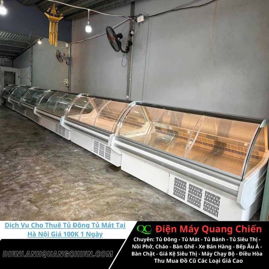 Dịch vụ cho thuê tủ đông tủ mát tại Hà Nội 12