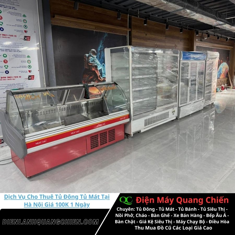 Dịch vụ cho thuê tủ đông tủ mát tại Hà Nội 14