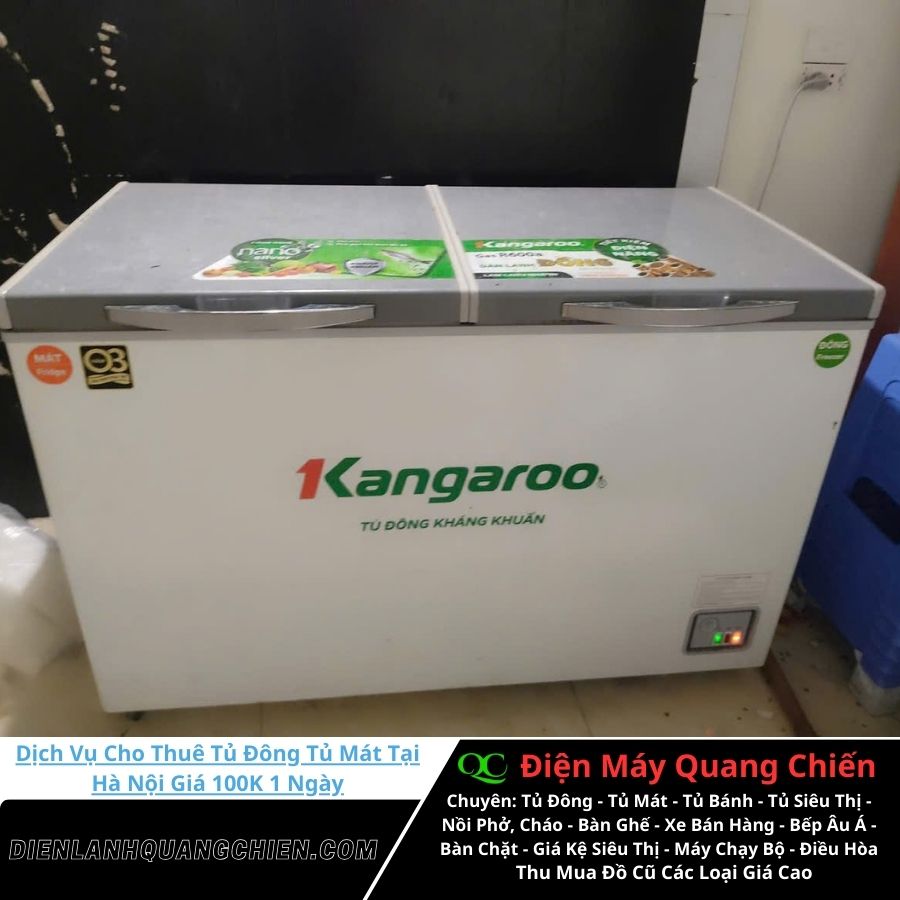 Dịch vụ cho thuê tủ đông tủ mát tại Hà Nội 3