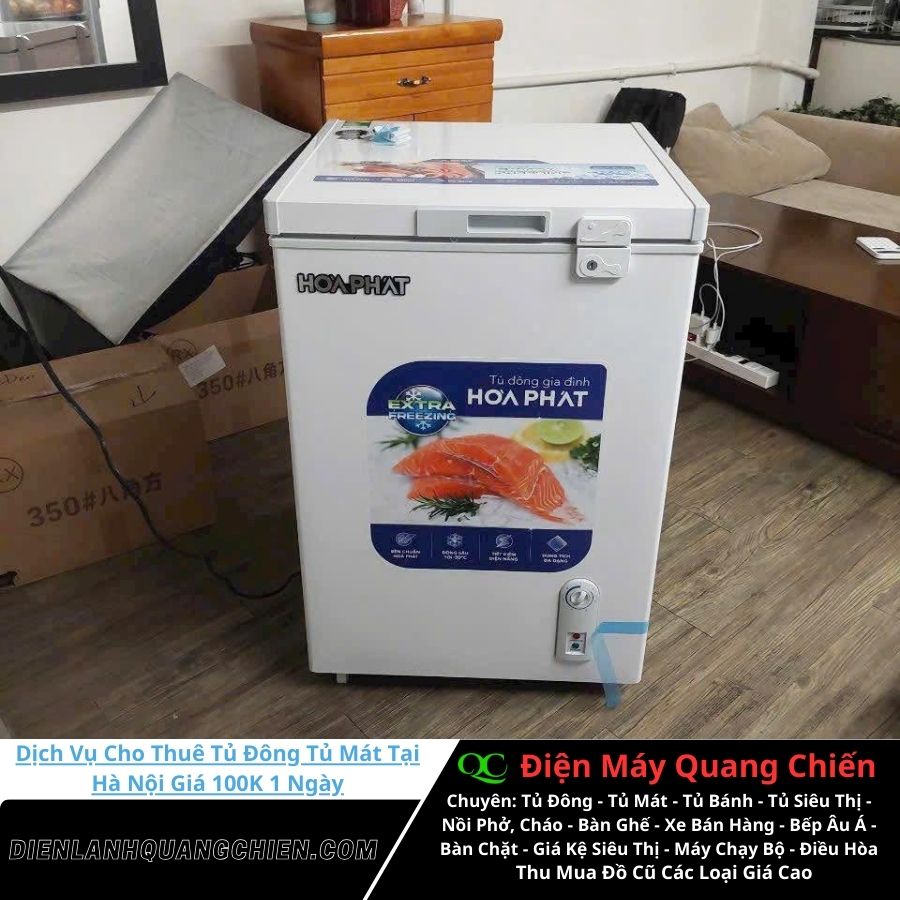 Dịch vụ cho thuê tủ đông tủ mát tại Hà Nội 4