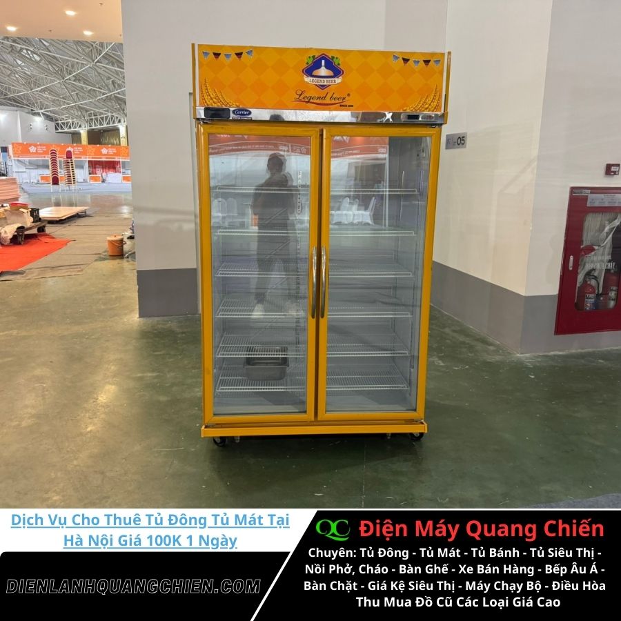 Dịch vụ cho thuê tủ đông tủ mát tại Hà Nội 6