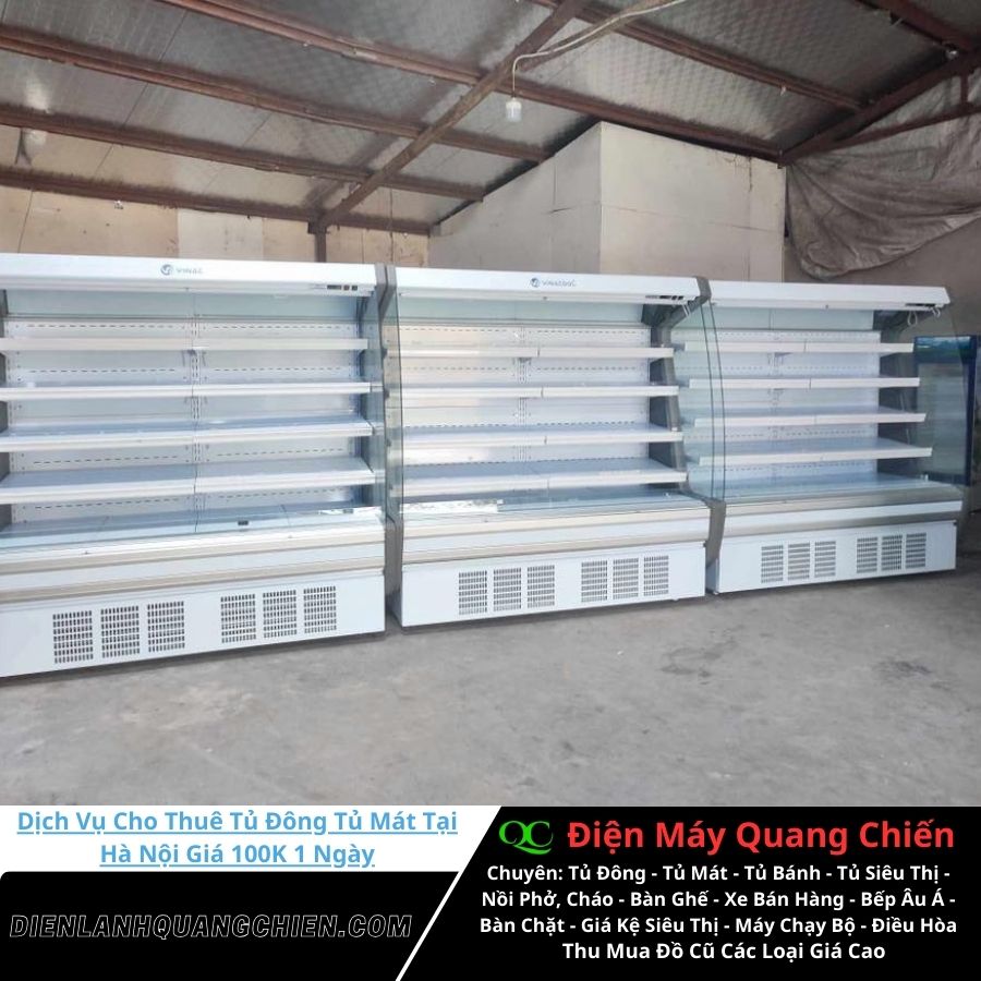 Dịch vụ cho thuê tủ đông tủ mát tại Hà Nội 7