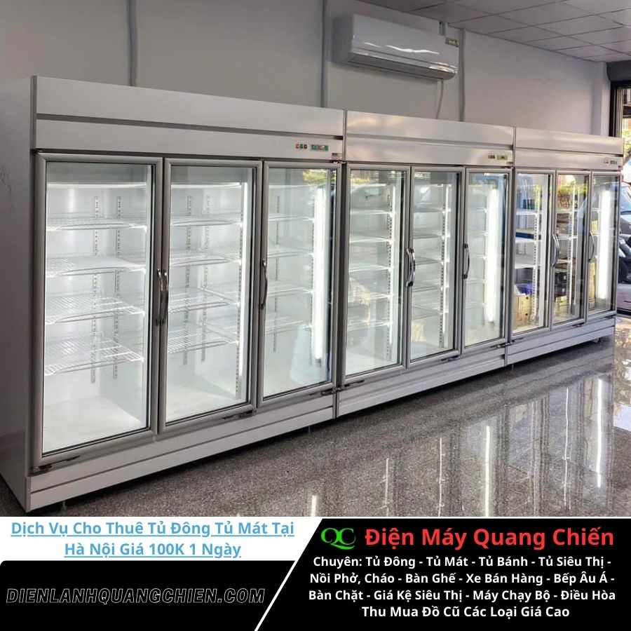 Dịch vụ cho thuê tủ đông tủ mát tại Hà Nội 9