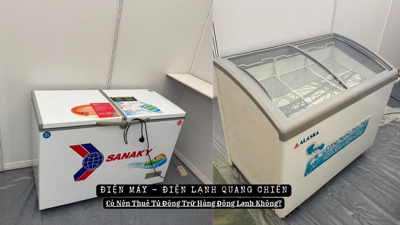 Có Nên Thuê Tủ Đông Trữ Hàng Đông Lạnh Không 1