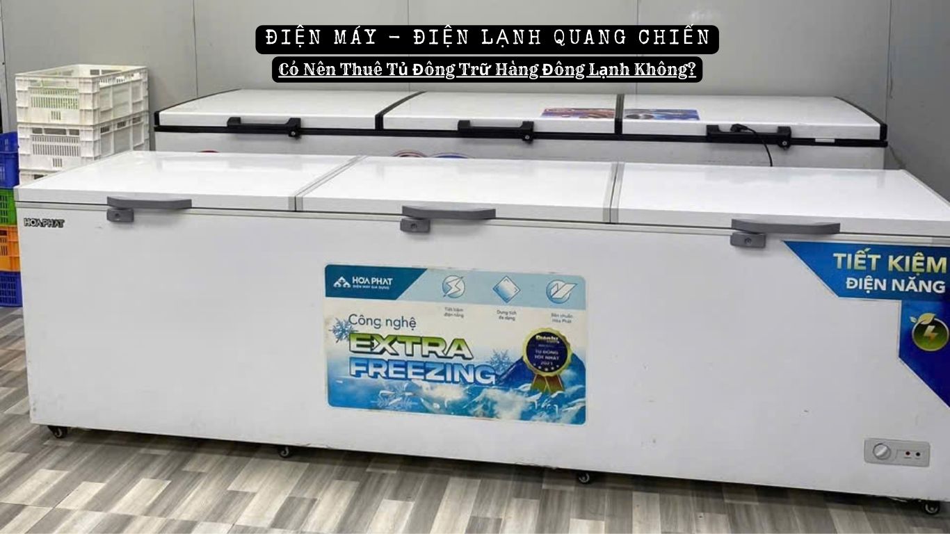 Có Nên Thuê Tủ Đông Trữ Hàng Đông Lạnh Không 2