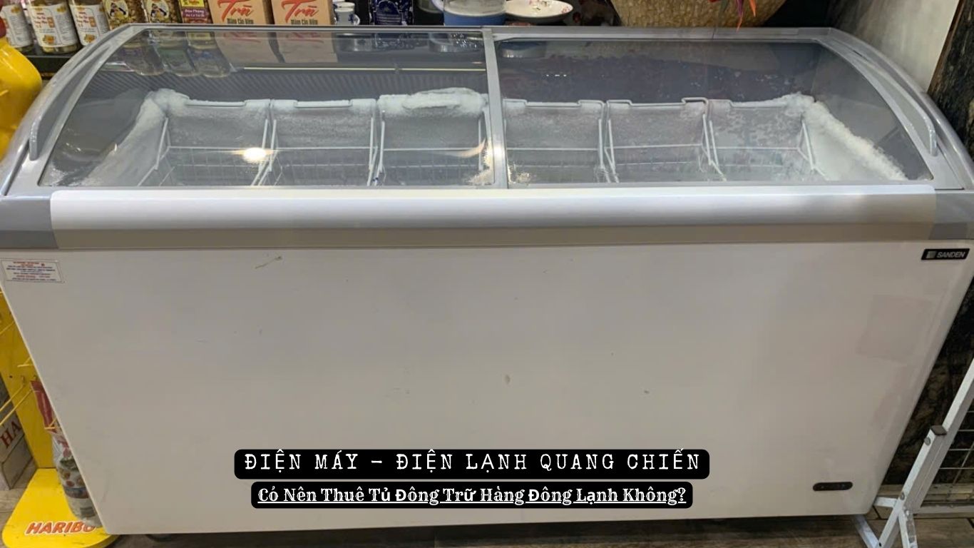 Có Nên Thuê Tủ Đông Trữ Hàng Đông Lạnh Không
