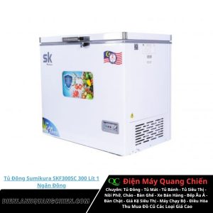 Tủ Đông Sumikura SKF300SC 1